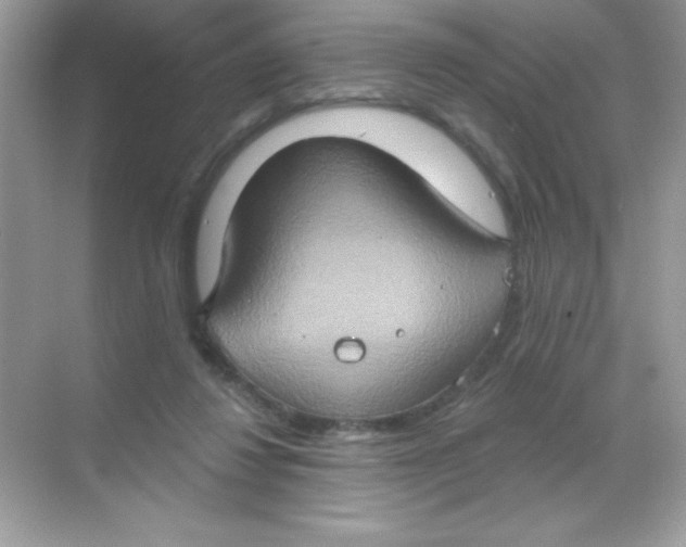 X0000068740260200605192352