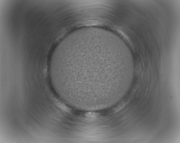 X0000068740261200605192352