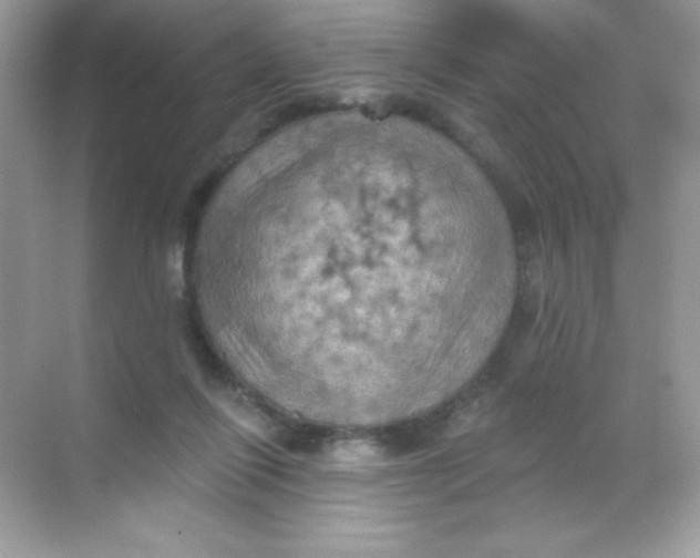 X0000068740262200605192352