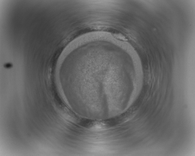 X0000068740263200605192352