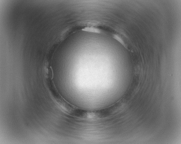 X0000068740264200605192352