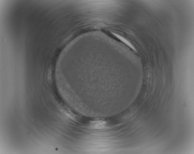 X0000068740266200605192352