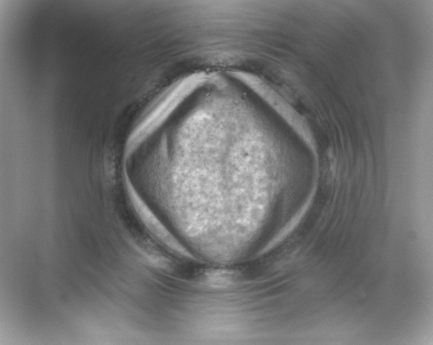 X0000068740268200605192352