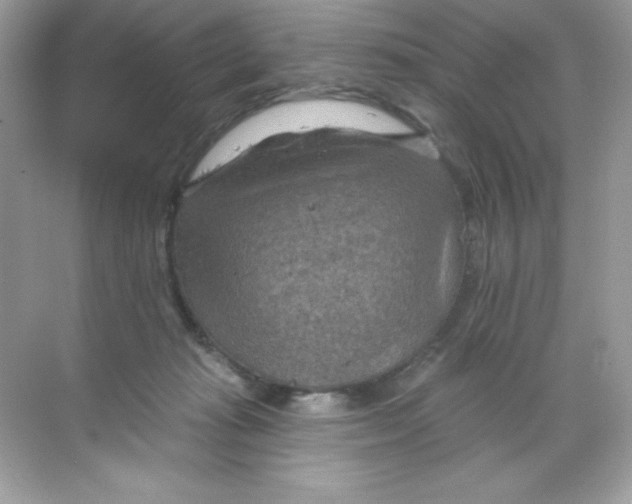 X0000068740269200605192353