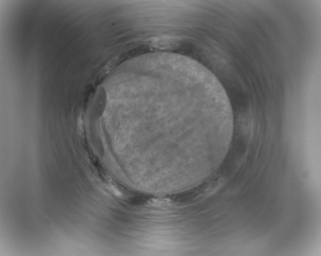 X0000068740271200605192353