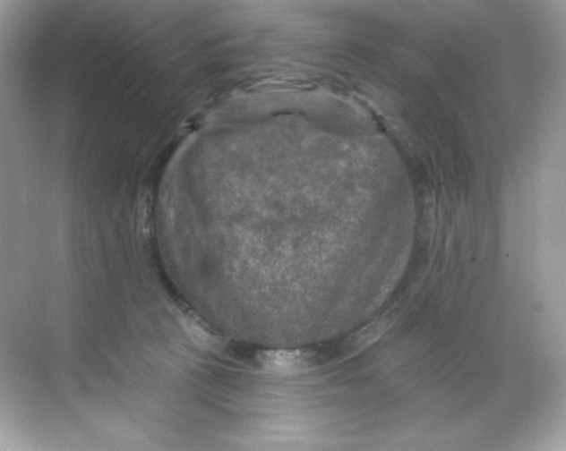 X0000068740273200605192353