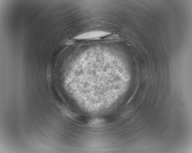 X0000068740274200605192353