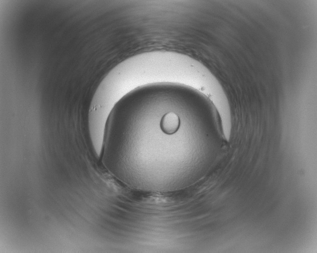 X0000068740276200605192353