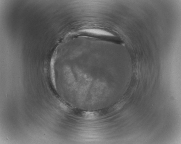 X0000068740277200605192353