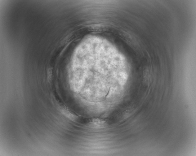 X0000068740278200605192353