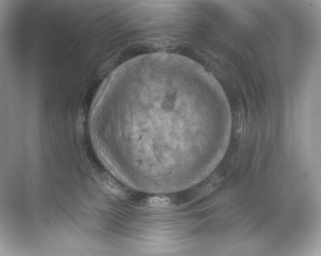 X0000068740279200605192353