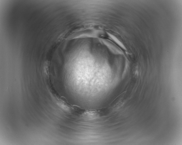 X0000068740280200605192353