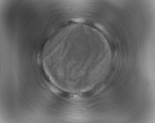 X0000068740285200605192353