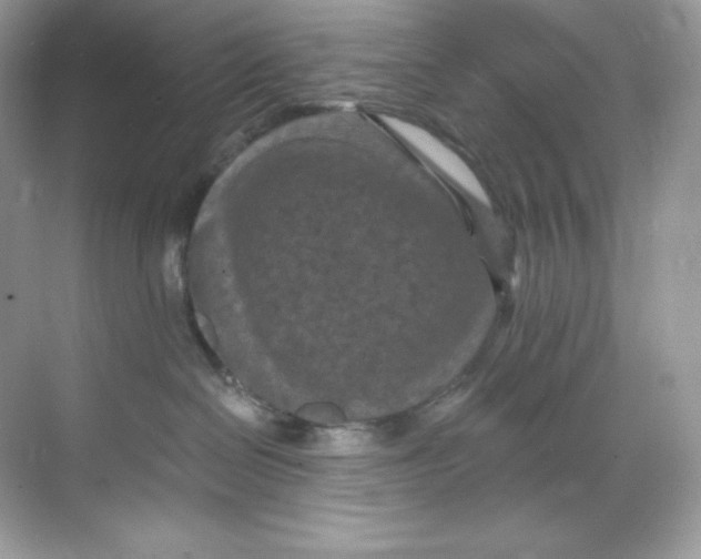 X0000068740286200605192353