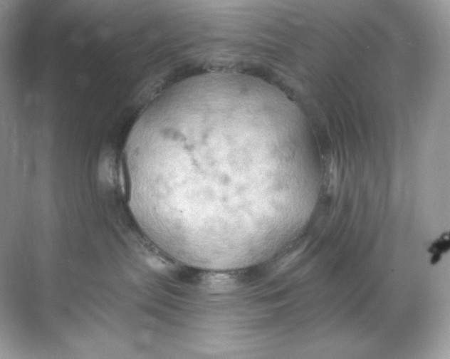 X0000068740287200605192353