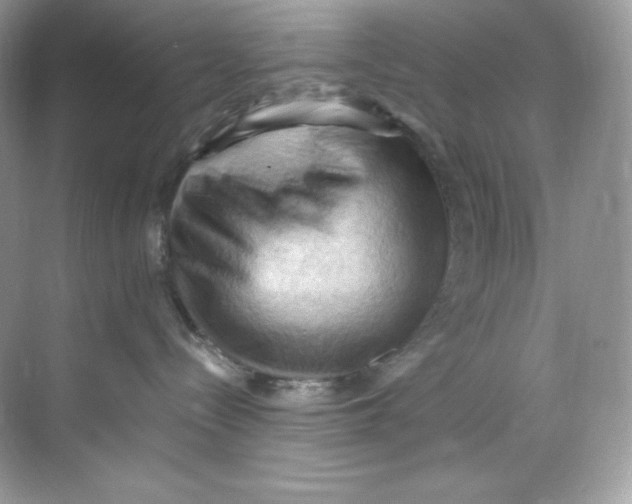 X0000068740288200605192353