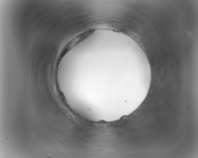 X0000068740289200605192352