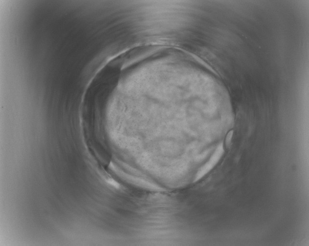 X0000068740290200605192352