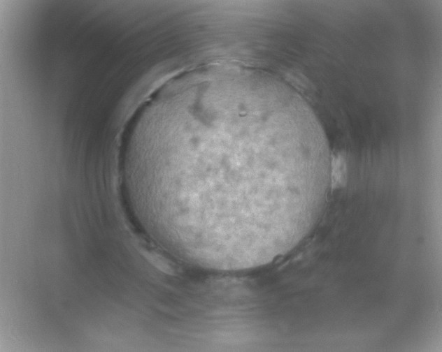 X0000068740291200605192352