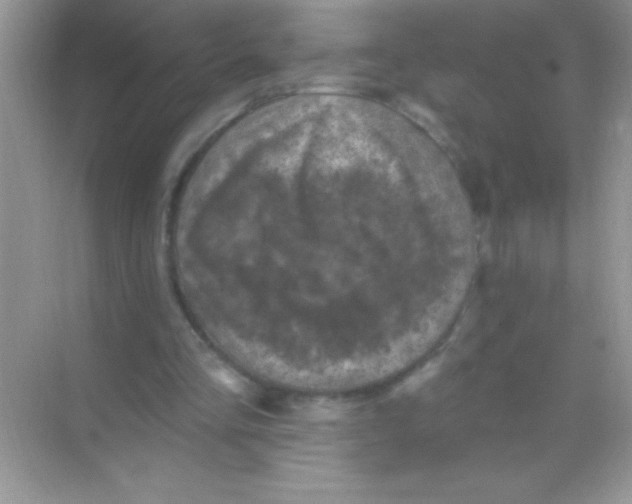 X0000068740293200605192352