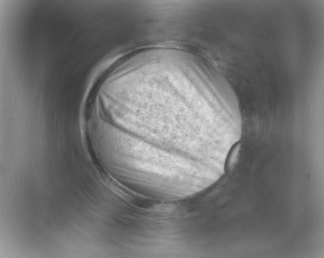 X0000068740294200605192352