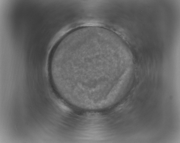 X0000068740296200605192352