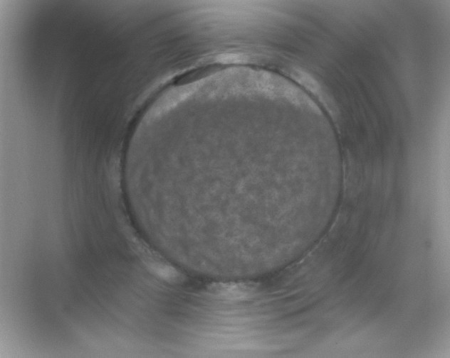 X0000068740297200605192352