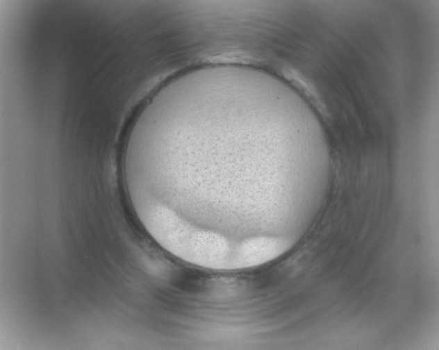 X0000068740298200605192352