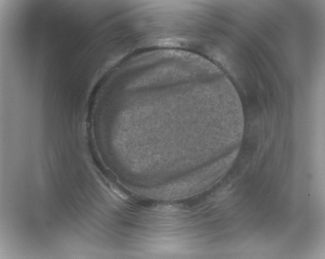 X0000068740299200605192352