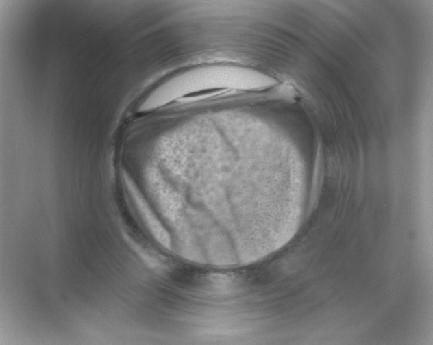 X0000068740302200605192352