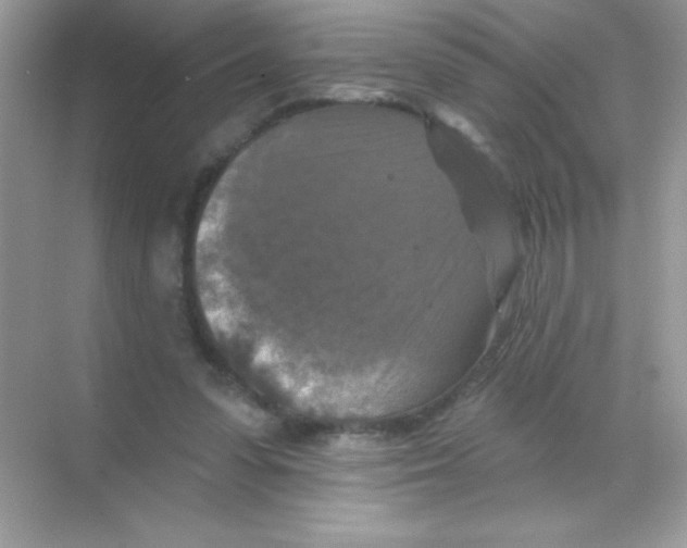 X0000068740303200605192352