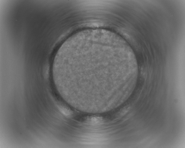 X0000068740304200605192352