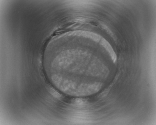 X0000068740305200605192352