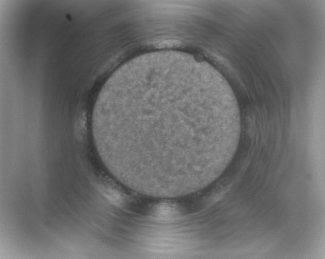 X0000068740308200605192352