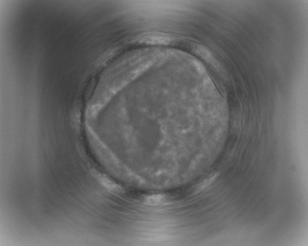 X0000068740309200605192352