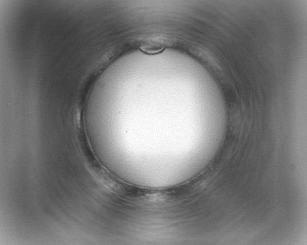 X0000068740310200605192352