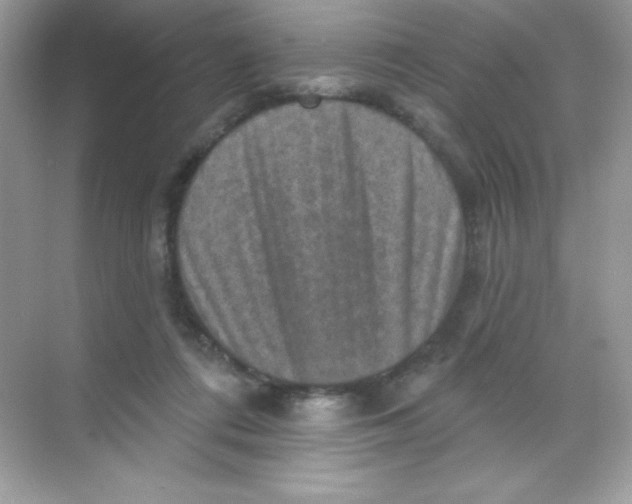 X0000068740312200605192352