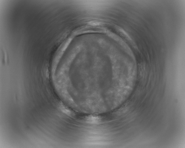 X0000068740313200605192352