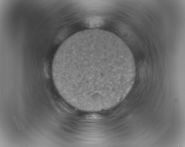 X0000068740316200605192352