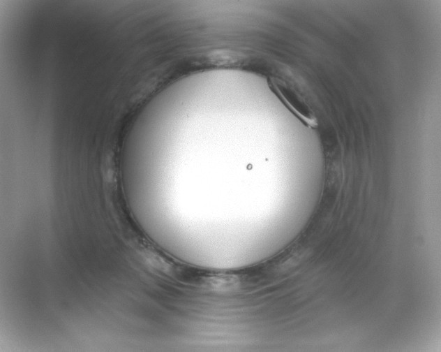 X0000068740317200605192352