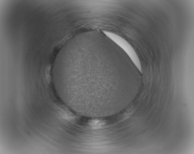 X0000068740319200605192352