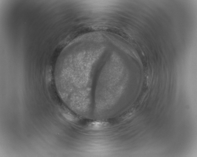 X0000068740323200605192351