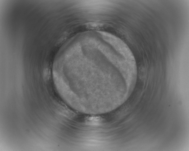 X0000068740324200605192351