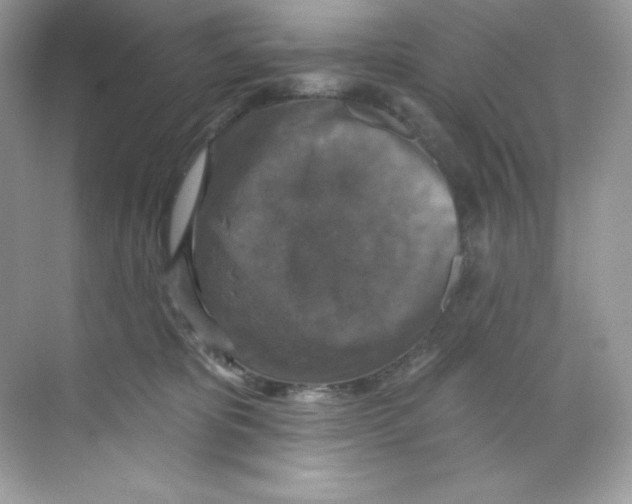 X0000068740325200605192351