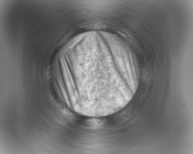 X0000068740326200605192351