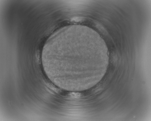 X0000068740328200605192351