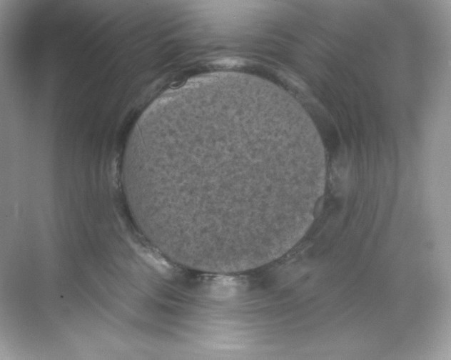 X0000068740330200605192351