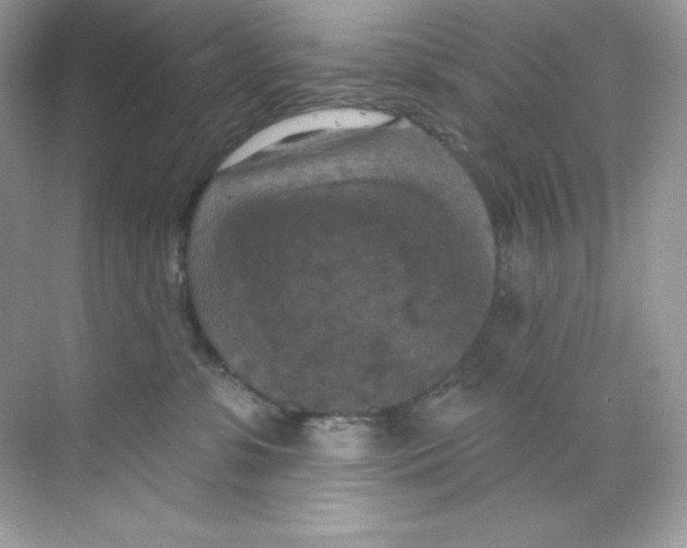 X0000068740331200605192351