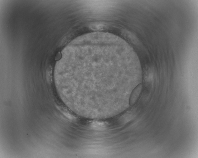 X0000068740332200605192351