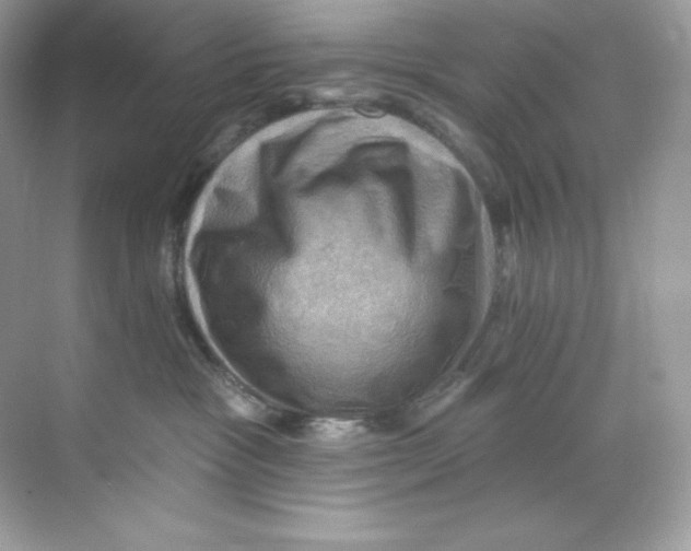 X0000068740333200605192351